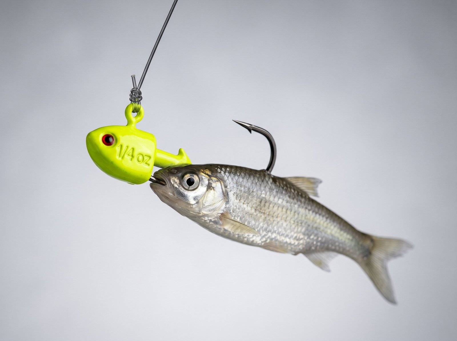 Walleye jig setup showing a chartreuse 1/4 oz jig head with minnow hooked through the lip